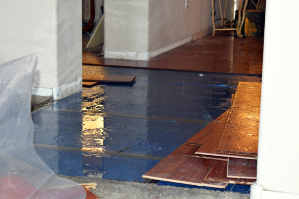 Professional Basement Flooding technician working in Farmville, VA